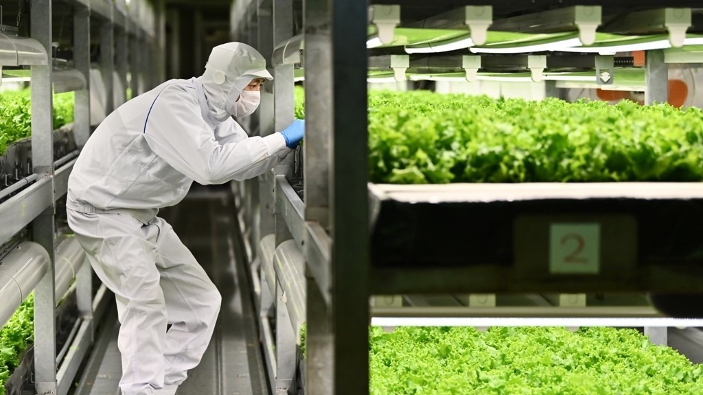 iluminación agricultura